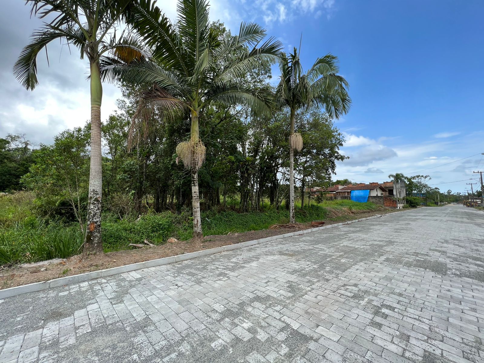 WhatsApp Image 2023-02-10 at 13.55.36 (1).jpeg