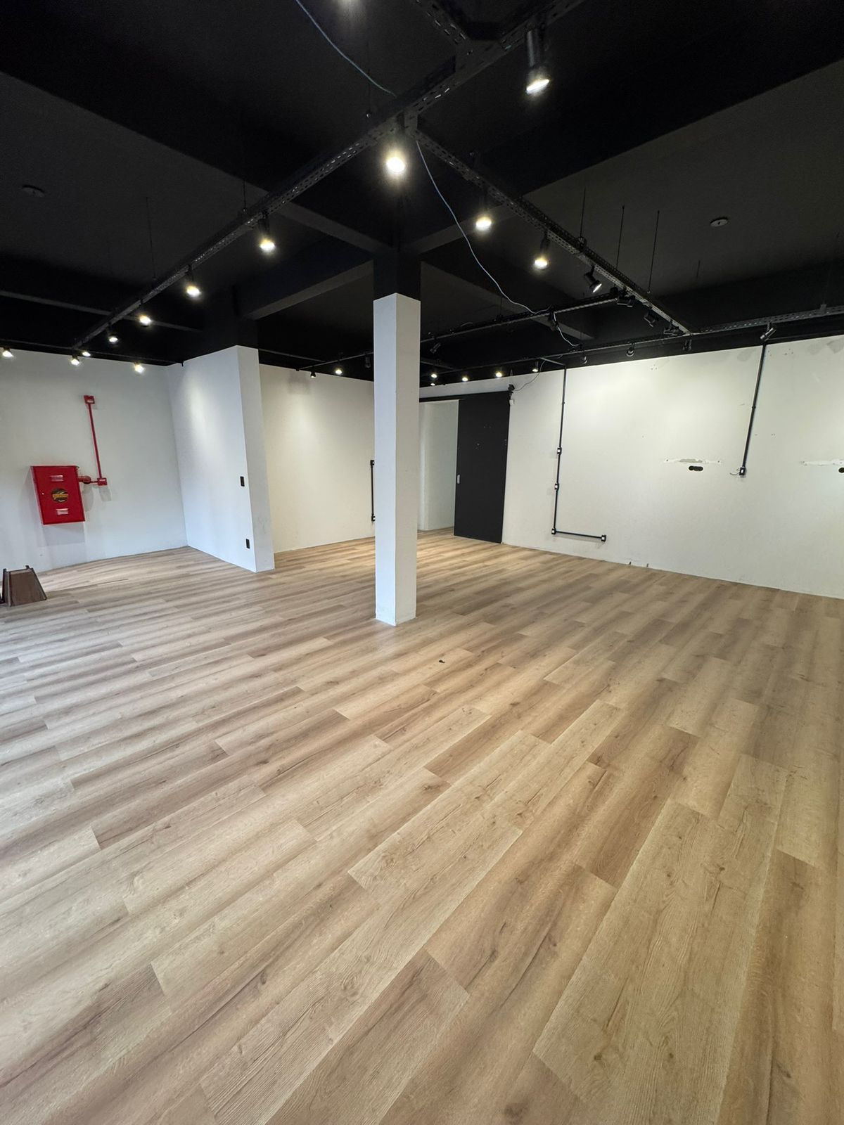 ravache visocndeeeee.jpeg