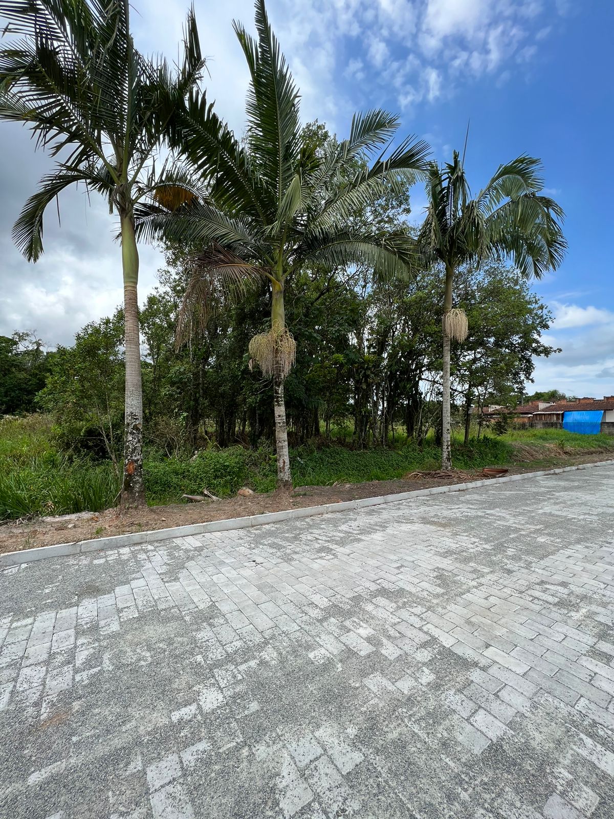 WhatsApp Image 2023-02-10 at 13.55.36.jpeg