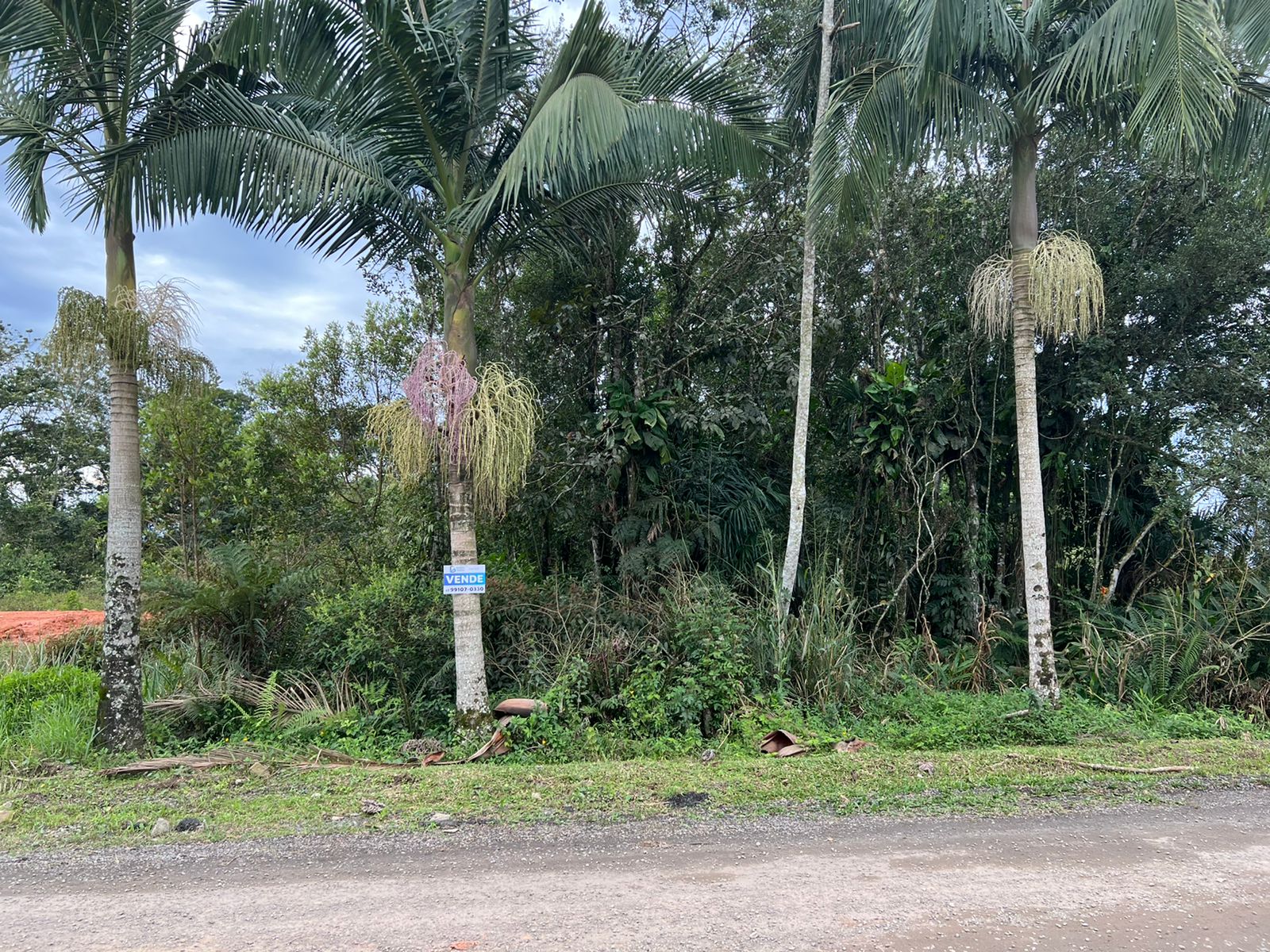 WhatsApp Image 2023-02-06 at 16.08.41.jpeg