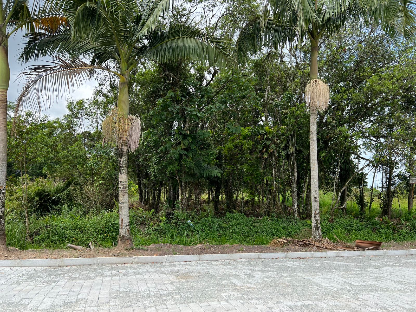 WhatsApp Image 2023-02-10 at 13.55.37.jpeg