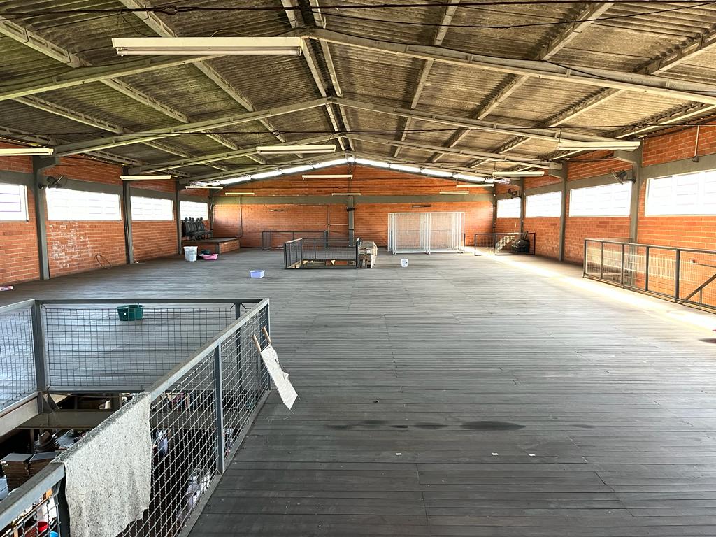 WhatsApp Image 2023-05-03 at 10.53.52 (1).jpeg