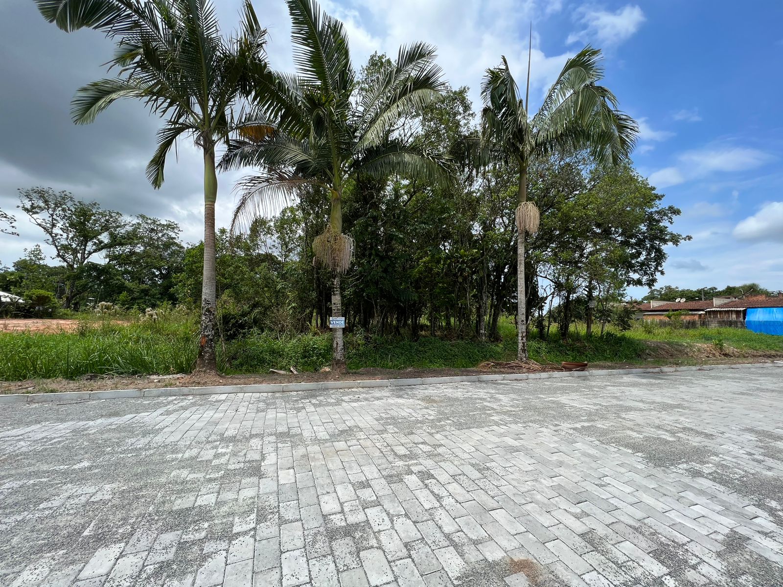 WhatsApp Image 2023-02-10 at 13.55.34.jpeg