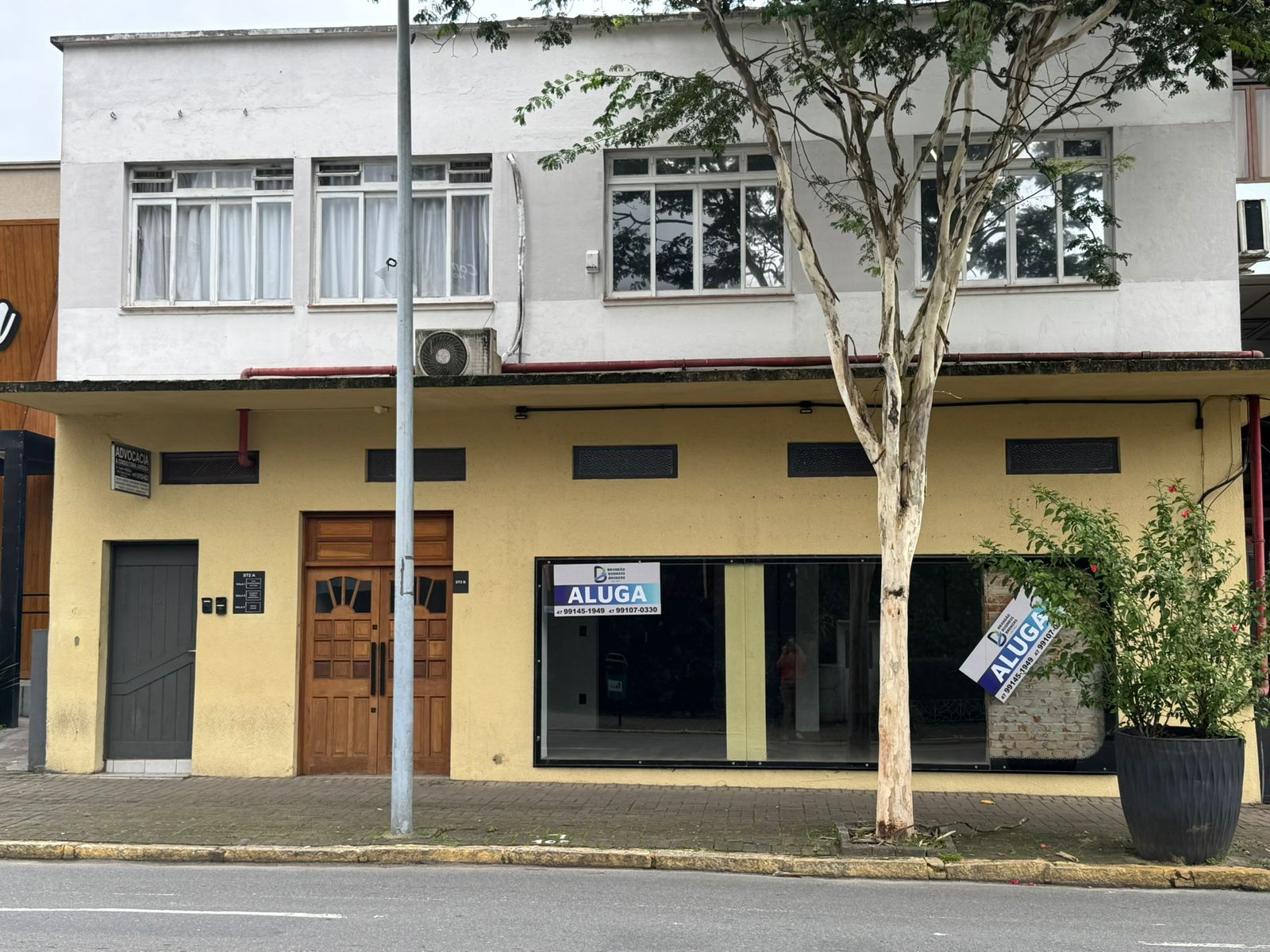 ravache visconde.jpeg